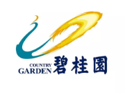 连城碧桂园地产